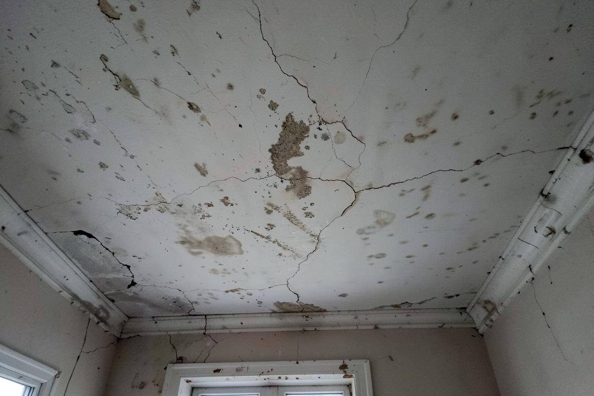 Plafond geëgaliseerd en afgewerkt, Berchem • voor